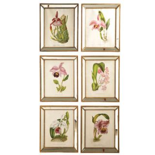 orchid botanical prints mirrored frames by cowshed interiors