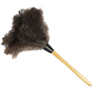 ostrich feather duster by old with new