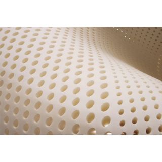 Plush Beds MobilePlush 8 Latex Foam RV Mattress