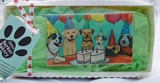 bake a cake for your dog kit by the little barker bakery