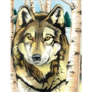 Colored Pencil By Numbers Intermediate Medium Wolf Colored Pencil Toys & Games