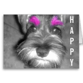 Happy Birthday Dude Miniature Schnauzer Puppy Greeting Card