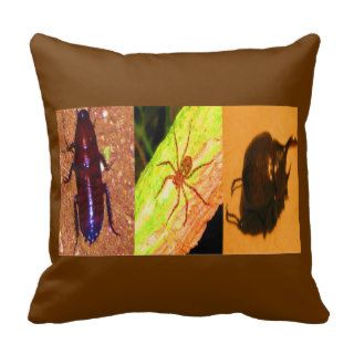 Wild Costarica   Spiders, Cockroaches and Insects Pillow