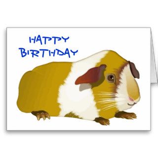 Grinning Guinea Pig Birthday Cards