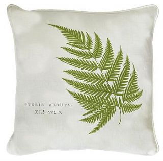 single fern cushion by natural history
