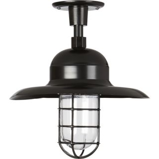 NPower Barn Light with Wall/Ceiling Sconce — 13in. Dia., Black  Outdoor Lighting