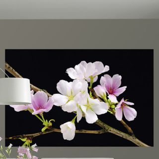 Brewster Home Fashions Ideal Décor Blossoms Wall Mural