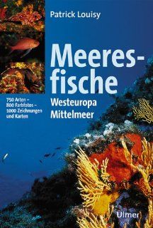 Meeresfische Europas Westeuropa und Mittelmeer Patrick Louisy, Claudia Ade Bücher