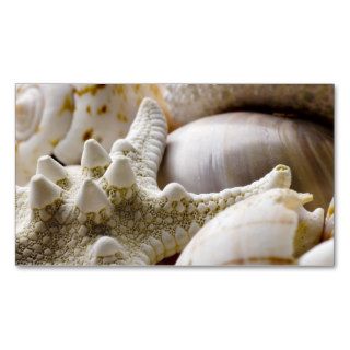 Sea Shell Starfish Background   Beach Shells Business Cards