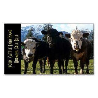 Three Amigos Beef Cattle Business Cards