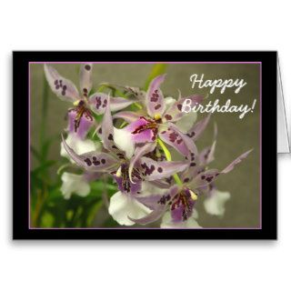 Happy Birthday Pink Orchids greeting card