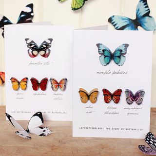 wooden butterflies brooch collection by newton and the apple