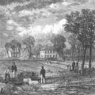 FARMING The Sewage Farm, antique print, 1868  