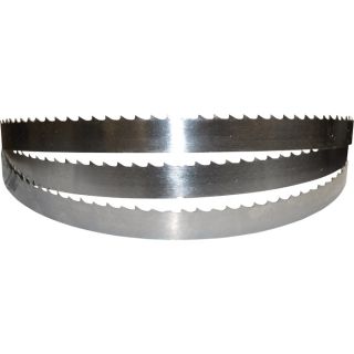 Rickon Power Tools Replacement Meat Saw Blade — 76 3/4in.L x 5/8in.W, Fits Item# 24668, Model# 19-7601  Meat Saws