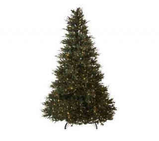 Santas Best 6.5 FrasierFir Christmas Tree with E Z Power —