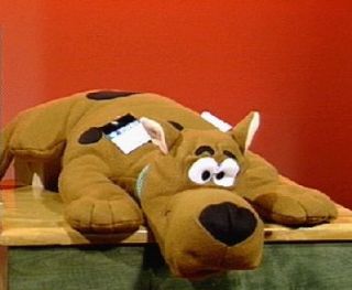 Warner Bros. Scooby Doo Pillow Buddy —