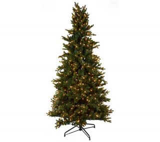Bethlehem Lights 9 Noble Spruce Christmas Tree w/Instant Power —