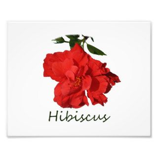 Hibiscus Red Flower With Text Photo