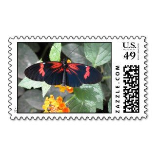 Small Postman Butterfly Postage