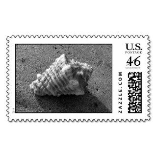 Conch Shell Stamp (Black and White)
