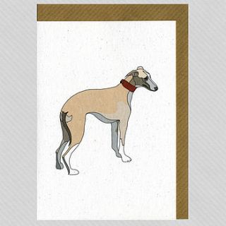 illustrated greyhound blank card by illustrated cards