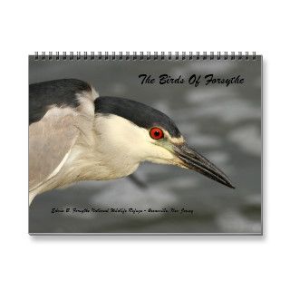 The Birds of Forsythe   Official Refuge Calendar