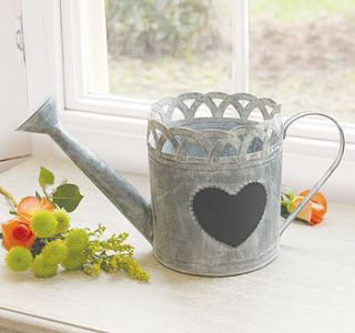 zinc amelie watering can display planter by dibor
