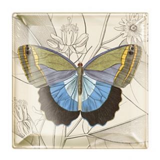 Fringe "Butterfly" Tray, 4.5" x 4.5"'s