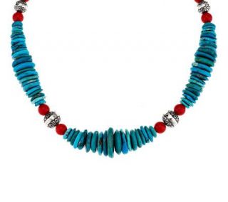 American West Sterling Turquoise & Coral Free Form 17 Necklace —