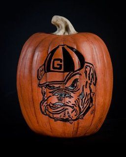 Georgia Bulldogs UGA Fall Resin Pumpkin Decor  Sports Fan Home Decor  Sports & Outdoors