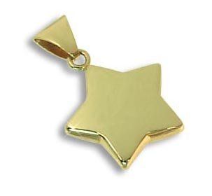 Ketten Anhnger Ein Stern der Deinen Namen trgt echt 14 Karat Gold 585 (Art. 212113) GRATIS SOFORT GRAVUR Schmuck