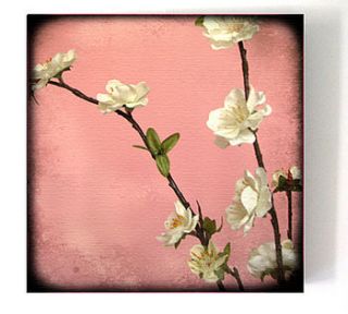 pink apple blossom print by rossana novella wall decor