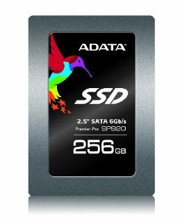 A Data Premier PRO SP920 256 GB Computer & Zubehr