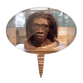 Homo erectus; museum exhibit cake picks