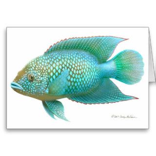 Jack Dempsey Cichlid Fish Card