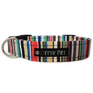 joseph striped dog collar by ditsy pet