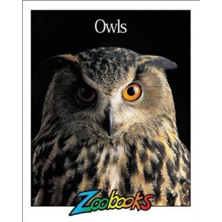 Owls (Zoobooks Series) Quality Productions 9780937934326 Books