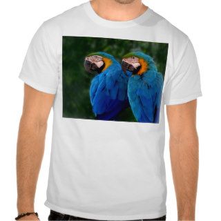 parrots blue t shirts