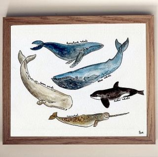 deep sea whales art print by rebecca mcmillan illustration