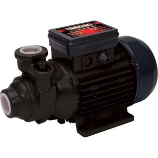 Ironton Cast Iron Clear Water Pump — 720 GPH, 1/2 HP, 1in.  Utility Pumps