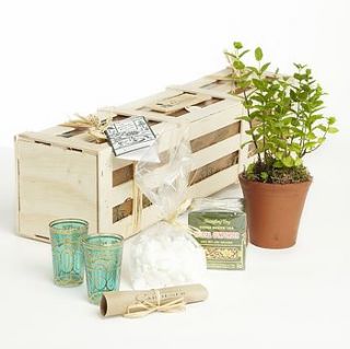 the moroccan mint tea crate by the gluttonous gardener
