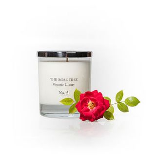 no five organic candle by the rose tree