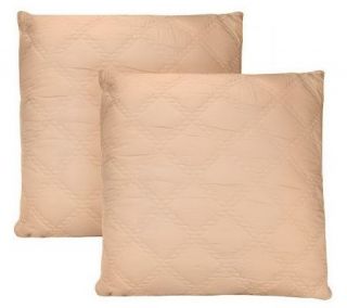 Phoebe Howard Home Set of Two Filled Quilted Euro Shams —