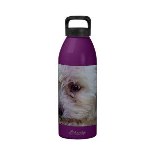 adorable cockapoo puppy water bottle