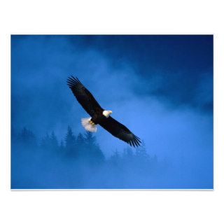 Bald Eagle Alaska Personalized Announcements