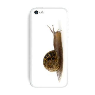 Graphics and More Snail Mollusk Protective Skin Sticker Case for Apple iPhone 5C   Set of 2   Non Retail Packaging   Opaque Cell Phones & Accessories