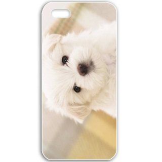 Apple iPhone 5 5S Cases Customized Gifts For Animals Maltese Puppy Wide Birds Cute Animals White Cell Phones & Accessories