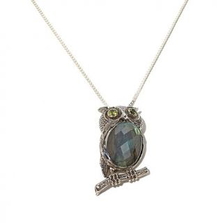 Nicky Butler Multigemstone Sterling Silver "Owl" Pin/Pendant with 18" Chain