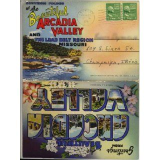 Arcadia Valley Missouri "The Lead Belt" (1940's Souvenir Postcard Folder) #D 8274 Nathaniel Lyon Books