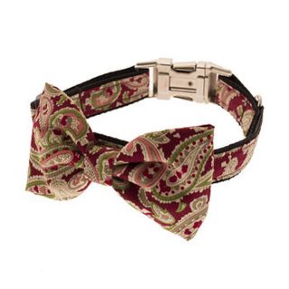 paisley passion bow tie dog collar by mrs bow tie